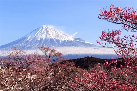 „Der Berg Fuji“ - Ein Meisterwerk der Farbgebung und des emotionalen Ausdrucks!