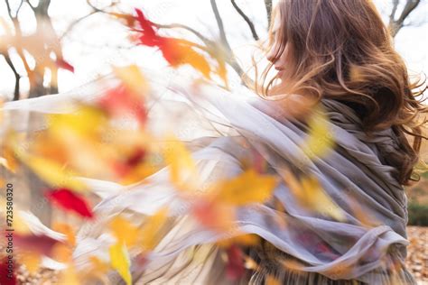  Der Herbstwind - Eine Ode an die Vergänglichkeit und den Tanz der Blätter!