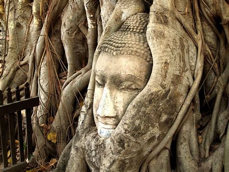  Die Krishnarayadeva Skulptur: Ein Goldenes Wunderwerk des Ayutthaya Stils!